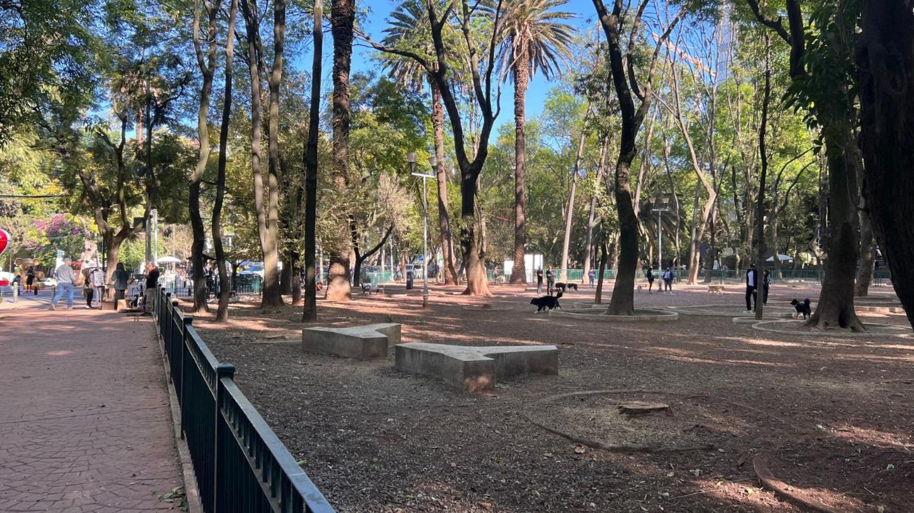 Condesa Residence 7 Stylish 2 Bedroom, 1 Bathroom Residence Accentuating Expansive Interiors メキシコシティ エクステリア 写真